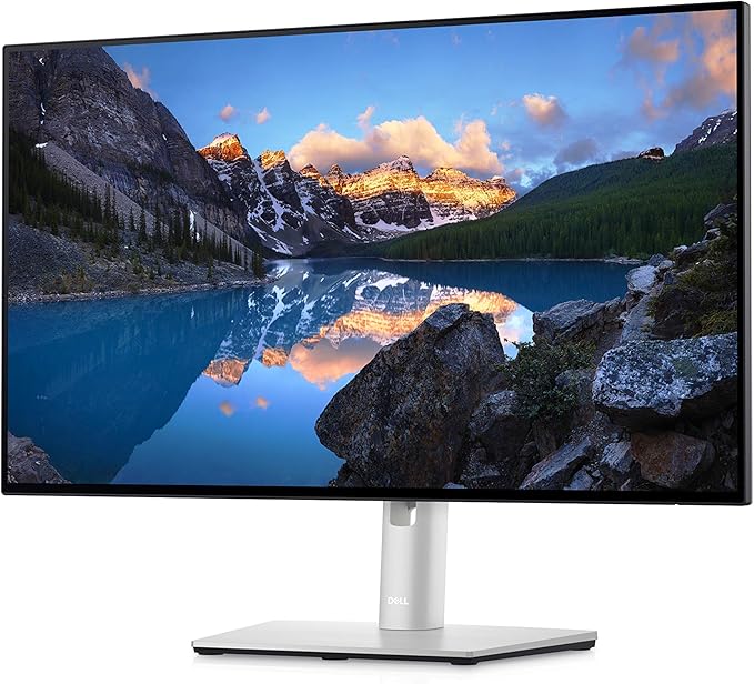 Dell UltraSharp 24 Monitor - U2422H - 60.47cm (23.8) 0210-AYUI 837035 (U2422H - 60.47cm (23.8))
