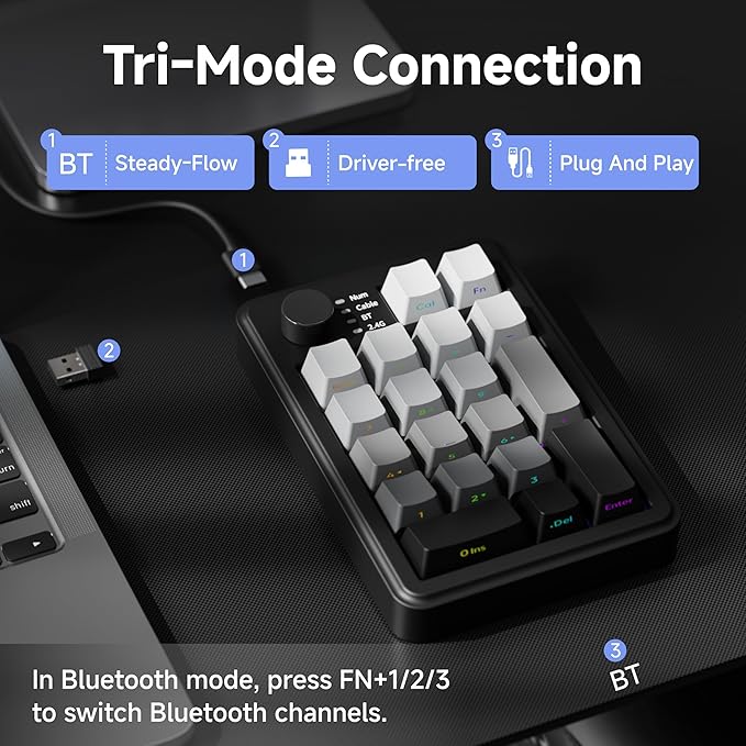 EWEADN NK20 Wireless Retro Mechanical Numpad with Knob Bluetooth/2.4GHz/USB-C Connect with RGB Backlight Hot Swappable Number Pad 20-Key Rechargeable External Num Pad for Win Mac Black Gray