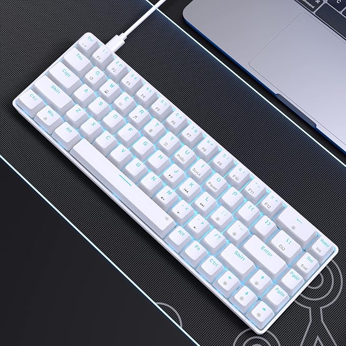 DIERYA T68SE 60% Gaming Mechanical KeyboardUltra Compact Mini 68 Key with Blue Switches Wired KeyboardAnti-Ghosting Keys for Windows Laptops and PC GamersWhite