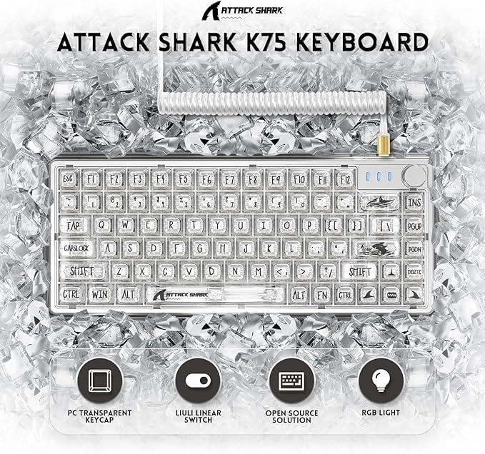 MAGIC-REFINER 81 Keys Mechanical Gaming Keyboard with Type C Cable Plug PlayPC High Transparent Body with Customize RGB Backlight Full Key can Hot-Swappable Compact Mini Keyboard with for Win/Mac
