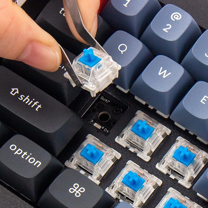 Keychron Q4 Wired Custom Mechanical Keyboard 60% Layout QMK/VIA Programmable Macro with Hot-swappable Gateron G Pro Blue Switch Double Gasket Compatible with Mac Windows Linux (Black)