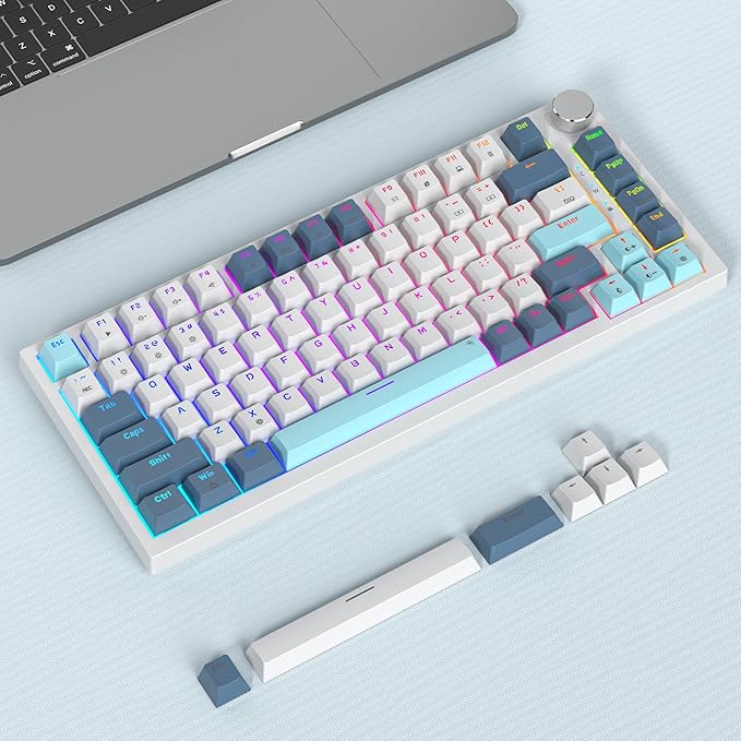 Owpkeenthy 75 Percent Mechanical Keyboard 82 Key Gasket Mounted Hot Swappable with Volume Knob Wired RGB Backlit NKRO Compact Gaming Keyboard for PC Laptop (82Shoko)