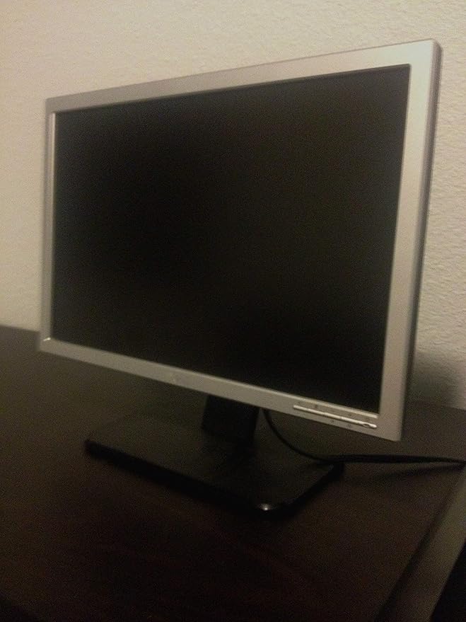 Dell SE198WFP 19-inch Flat Panel LCD Monitor (Renewed)