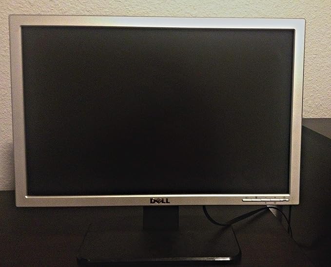 Dell SE198WFP 19-inch Flat Panel LCD Monitor (Renewed)
