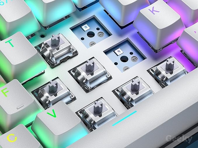 Geeky GK65 65% | Hot Swappable Mechanical Gaming Keyboard | 68 Keys Multi Color RGB LED Backlit for PC/Mac Gamer | ANSI US American Layout (Black Mechanical Speed Silver)