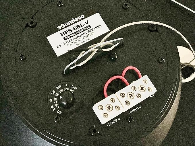HPS-6-BL-V Commercial 2-Way 6.5” Pendant Speaker with Woofer and Gripple Kit (Black/Sell Per Each)